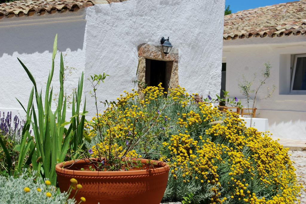 Farmhouse Of The Palms Sao Bras de Alportel Exterior photo